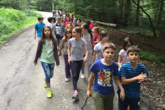 Parcul de Aventură de la Drăguș