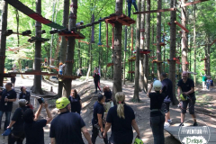 Parcul de Aventură de la Drăguș