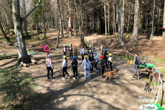 Parcul de Aventură de la Drăguș