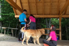 Parcul de Aventură de la Drăguș